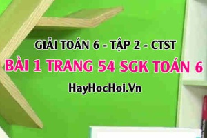 Giải bài 1 trang 54 Toán 6 Tập 2 SGK Chân trời sáng tạo